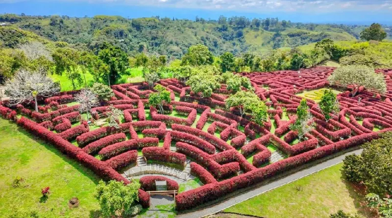 Mil Caminos hedge maze in Quimbaya