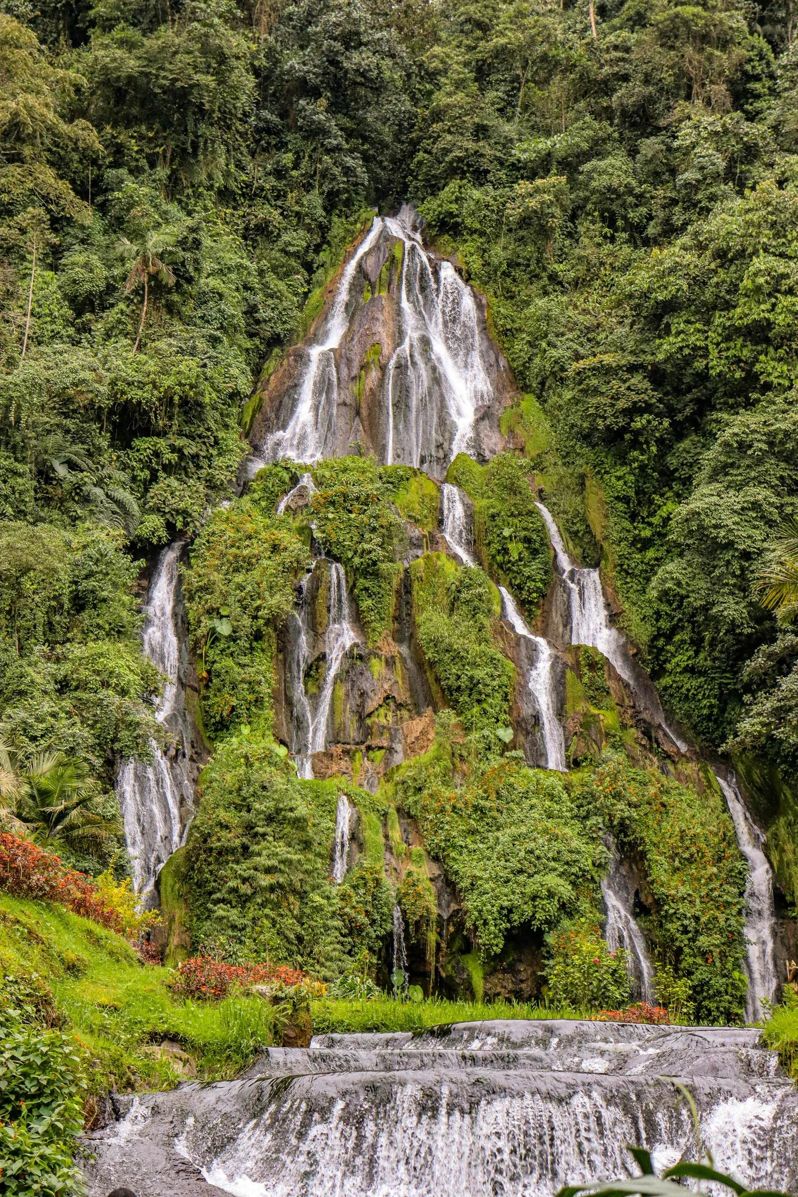 Wasserfall im Wald