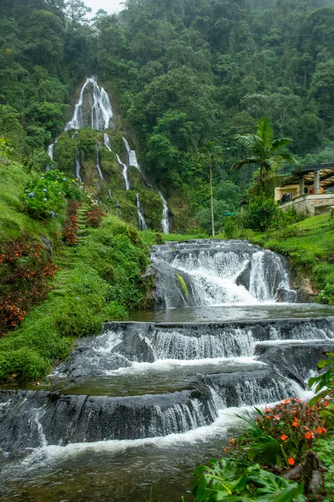 Wasserfall im grünen Wald