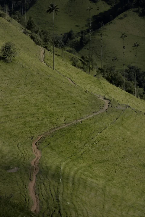 Erdweg im Cocora-Tal