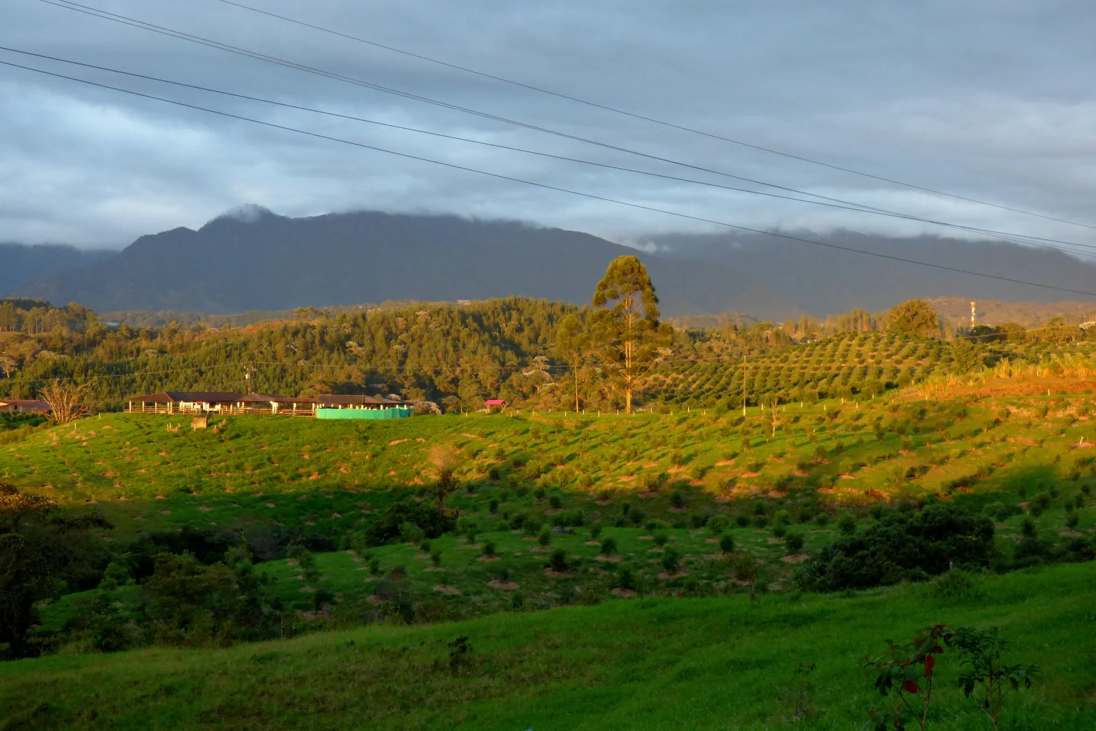 Luce della sera sulle colline di Filandia
