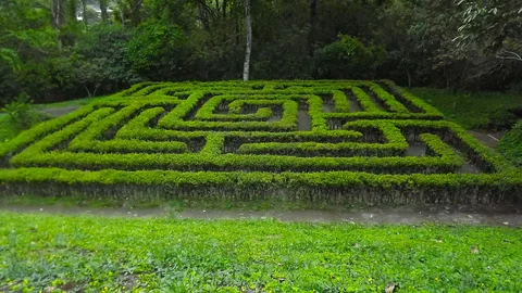 Heckenlabyrinth im Jardín Botánico del Quindío