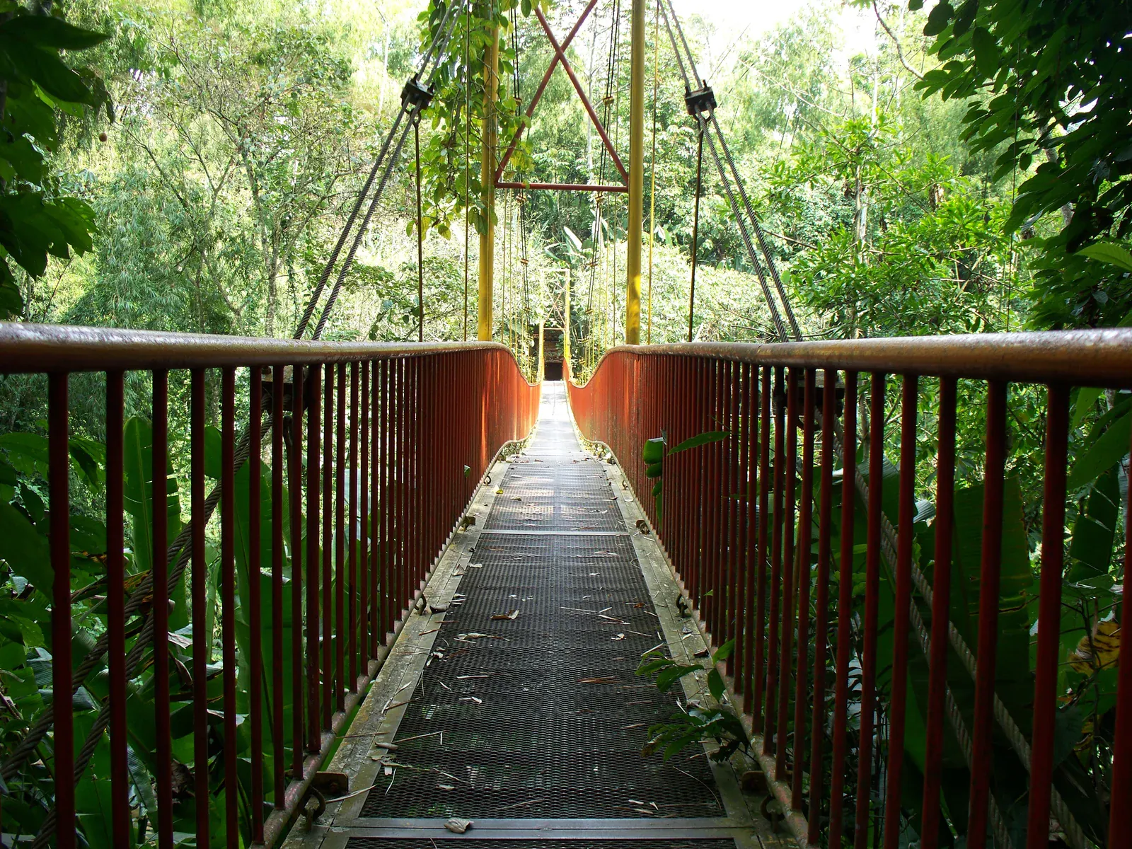 Hängebrücke im Jardín Botánico del Quindío
