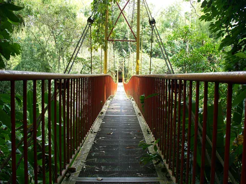 Hängebrücke im Jardín Botánico del Quindío