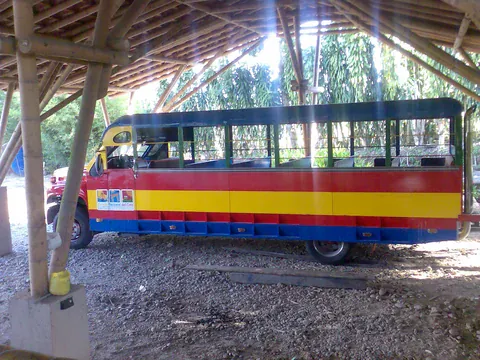 Bunter Chiva-Bus in PANACA
