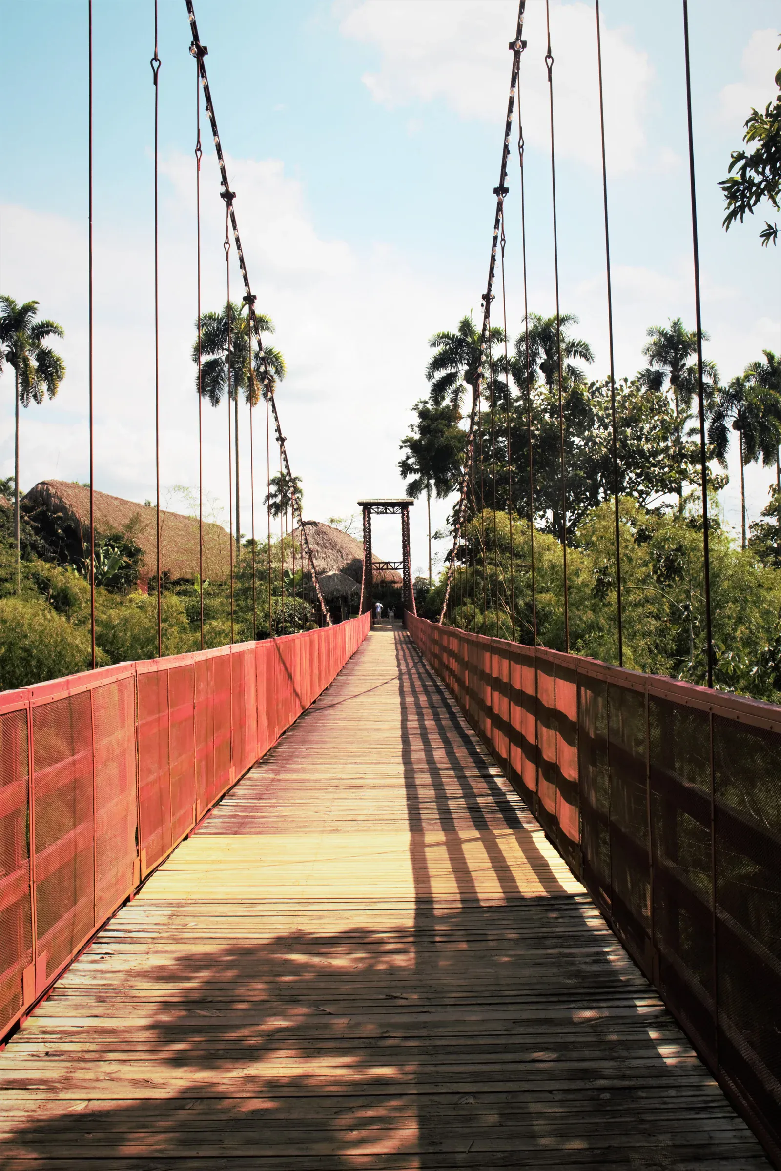 Pont suspendu de PANACA