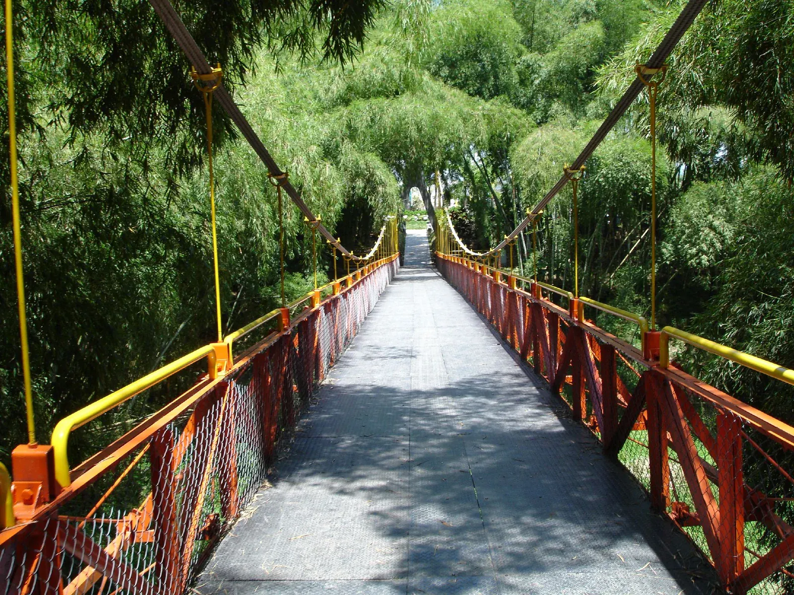 Hängebrücke im Bambuswald, Parque del Café