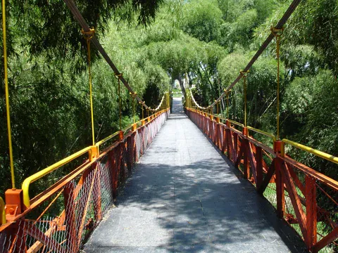 Hängebrücke im Bambuswald, Parque del Café