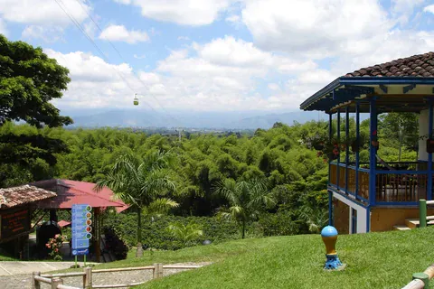 Blick über den Bambus und das Tal vom Parque del Café