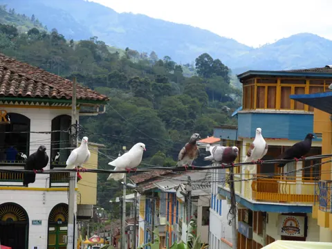 Pijao square and its colourful balconies