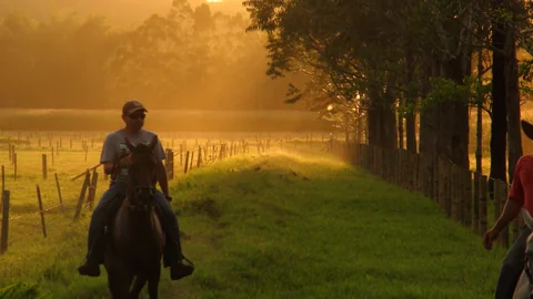 Horseback ride at sunset, Río Verde