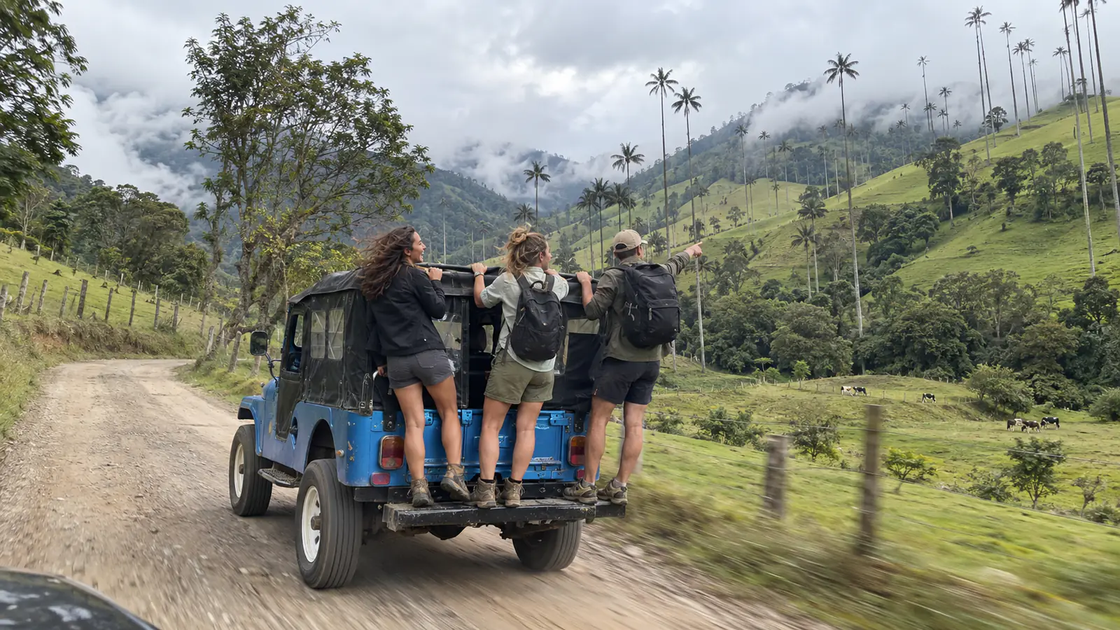 Viajeros de pie en la parte trasera de un Willys azul por la trocha del valle de Cocora, entre las palmas de cera