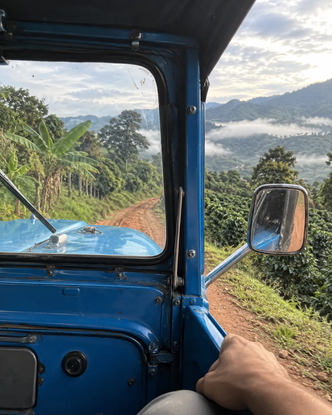 Vista desde el Willys azul: trocha de tierra roja entre cafetales, neblina sobre las montañas del Quindío