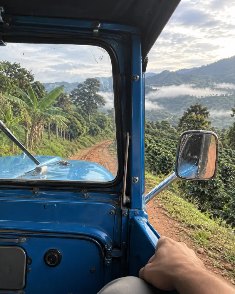 Blick aus dem blauen Willys: rote Erdpiste durch die Kaffeesträucher, Nebel über den Bergen des Quindío