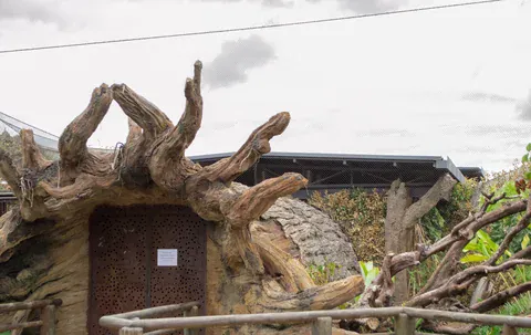 Gebäude aus geschnitztem Holz im Biopark Ukumarí
