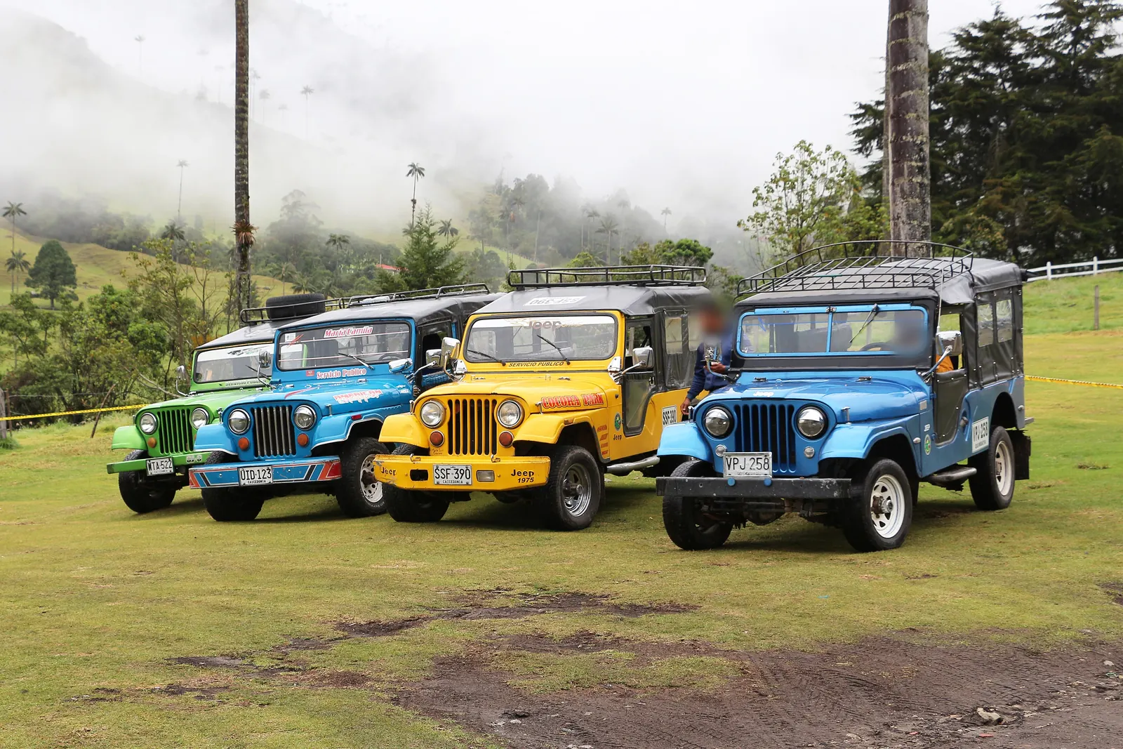 Jeeps Willys garés dans la vallée de Cocora