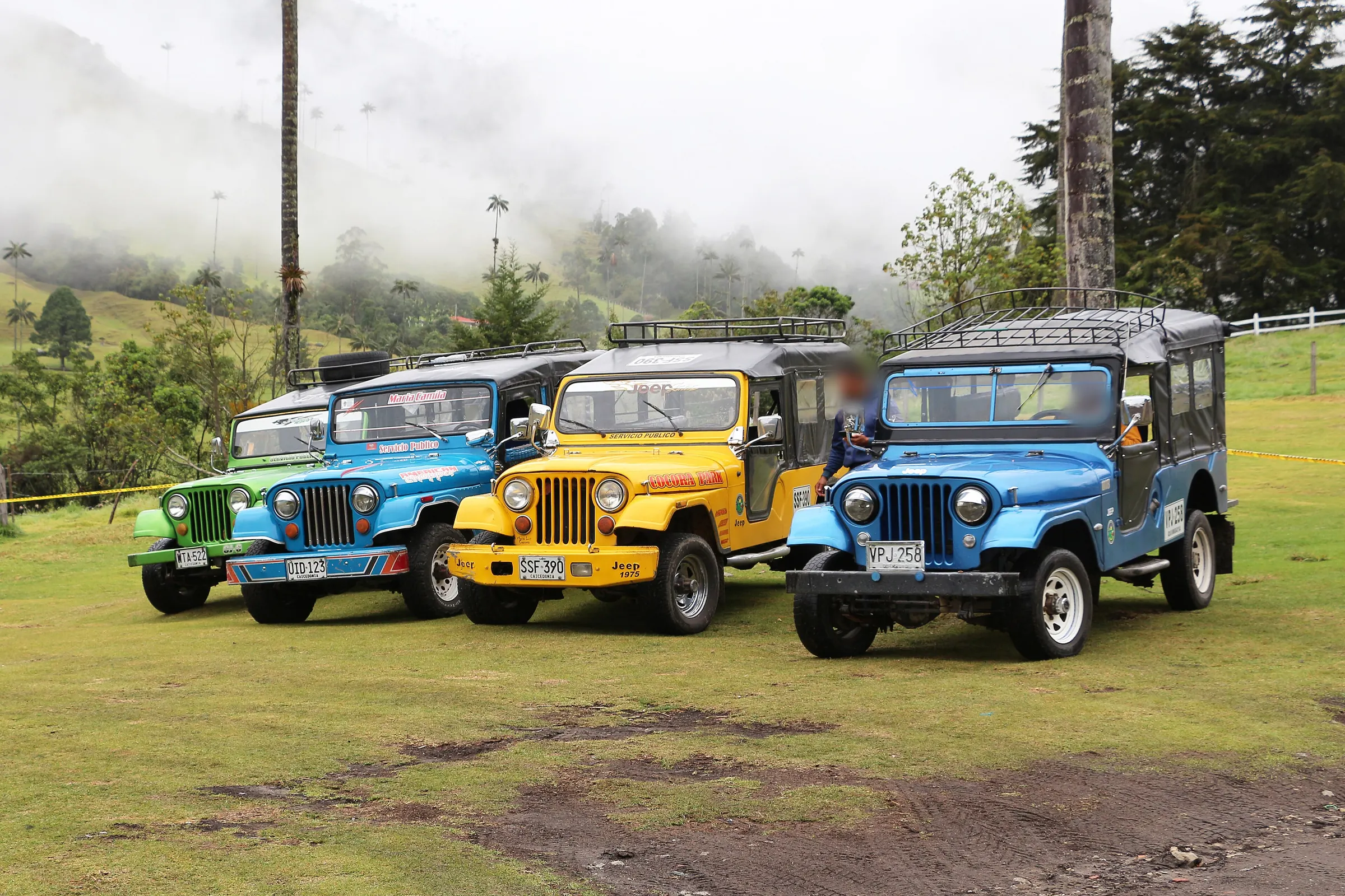 Jeeps Willys garés dans la vallée de Cocora, palmiers de cire dans la brume
